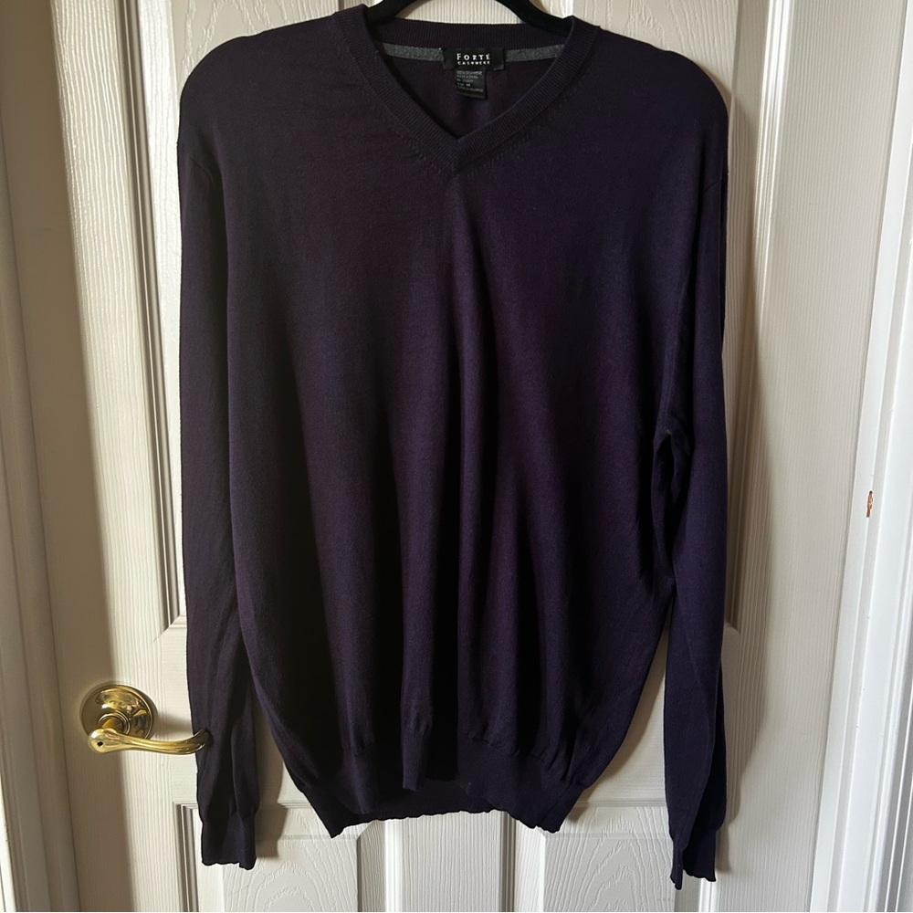 Forte Men's V-Neck Cashmere Sweater - Dark Purple, Plum, Medium